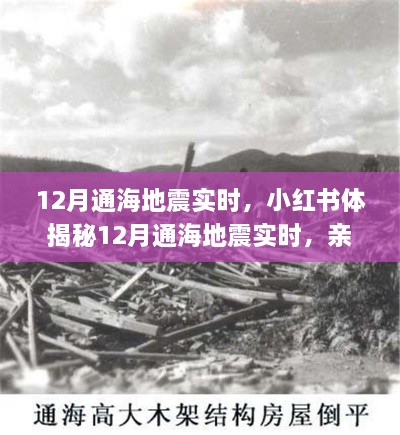 揭秘通海地震親歷者真實感受與應對策略，小紅書實時更新地震動態(tài)！