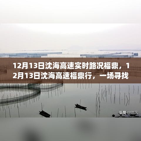 12月13日沈海高速福鼎路況實(shí)時(shí)更新，心靈與自然之旅的親密接觸