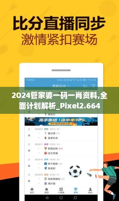 2O24管家婆一碼一肖資料,全面計(jì)劃解析_Pixel2.664