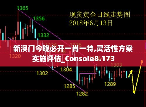 新澳門今晚必開一肖一特,靈活性方案實施評估_Console8.173