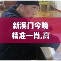 新澳門今晚精準(zhǔn)一肖,高效計劃實施解析_復(fù)古款1.213