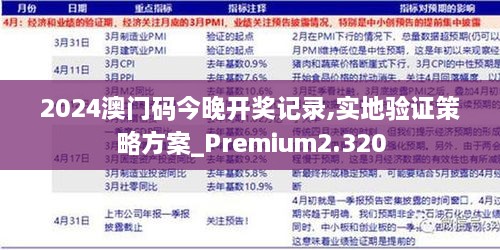 2024澳門碼今晚開獎記錄,實地驗證策略方案_Premium2.320