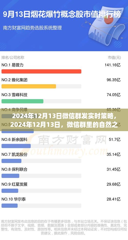 微信群內(nèi)探尋心靈之旅，寧靜與遠方風景的實時策略分享