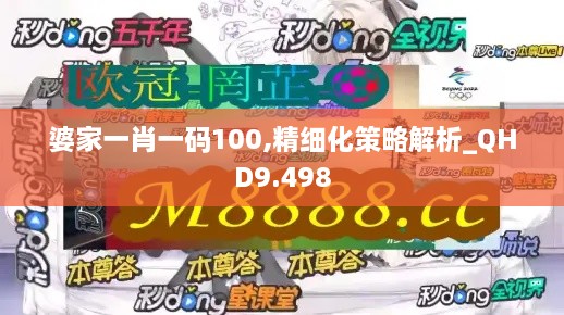 婆家一肖一碼100,精細化策略解析_QHD9.498