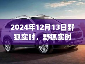 野狐實時，溫馨日常中的歡樂時光（2024年12月13日）