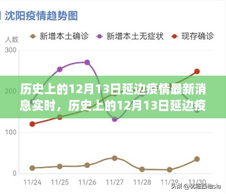 多維度視角下的深度分析，歷史上的延邊疫情最新消息實時報道與解讀（截至12月13日）