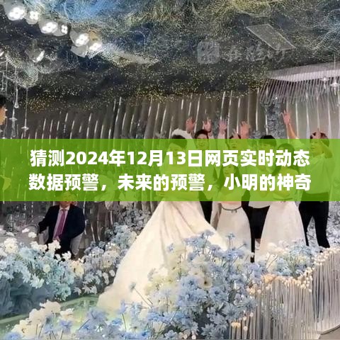 小明預(yù)測未來，神奇數(shù)據(jù)故事揭示2024年12月13日網(wǎng)頁實時動態(tài)數(shù)據(jù)預(yù)警