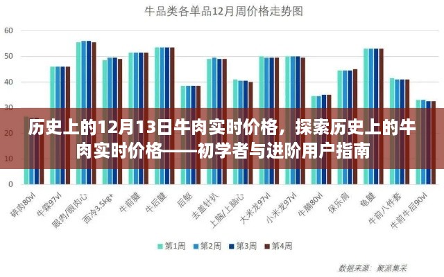 歷史上的牛肉實時價格探索，從入門到進階的指南