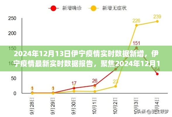 2024年12月13日伊寧疫情實(shí)時(shí)數(shù)據(jù)報(bào)告，聚焦最新新增情況