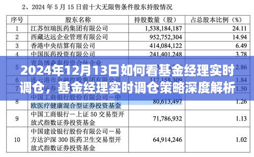 基金經(jīng)理實時調(diào)倉深度解析，洞悉策略與投資機會（2024年12月13日投資洞察）