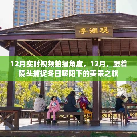 12月冬日美景之旅，捕捉暖陽下的絕佳拍攝角度