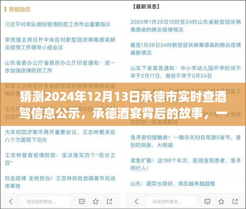 承德酒宴背后的故事，酒駕信息公示探秘之旅（猜測2024年12月13日承德市實時查酒駕信息公示）