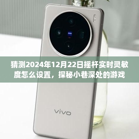 探秘游戲秘境，2024年搖桿實時靈敏度調(diào)整指南與獨特小店之旅揭秘游戲細節(jié)，小巷深處的游戲秘境等你來探探。