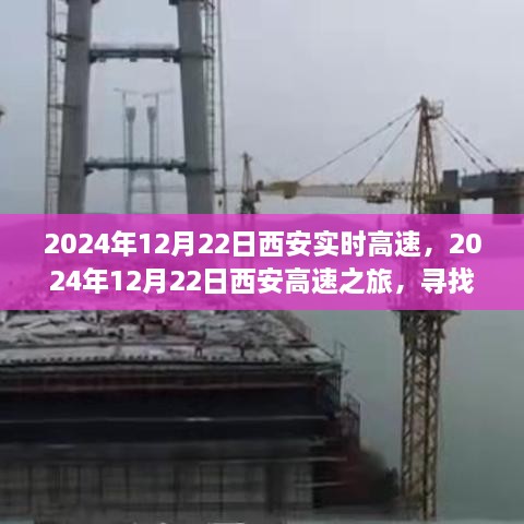 西安高速之旅，探尋自然懷抱，心靈寧?kù)o之旅（2024年12月22日）