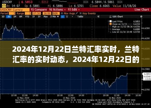 2024年12月22日蘭特匯率實(shí)時動態(tài)回顧與影響