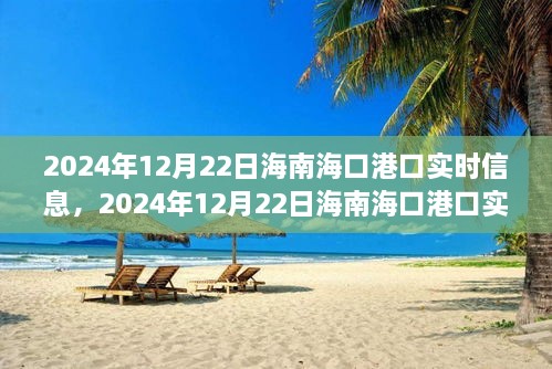 2024年12月22日海南海口港口實時信息全解析，小紅書帶你掌握最新動態(tài)