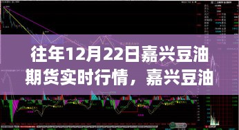 往年12月22日嘉興豆油期貨行情回顧，溫情時(shí)光與期貨市場(chǎng)的奇妙交匯