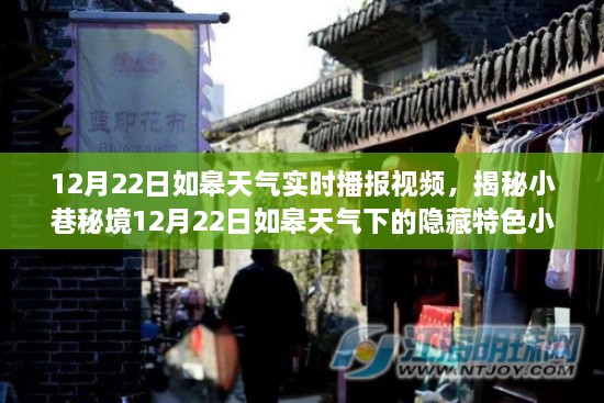 揭秘如皋小巷秘境，特色小店與12月22日天氣實(shí)時(shí)播報(bào)視頻