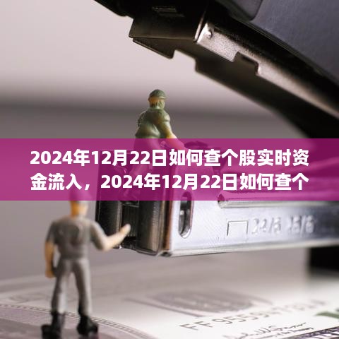 多維度解析與觀點探討，如何查詢個股實時資金流入——以2024年12月22日為例