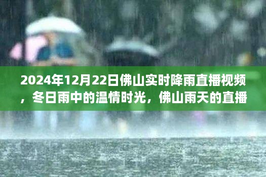 溫情時光與友情故事，佛山雨天直播實錄，實時降雨直播視頻