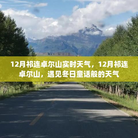 12月祁連卓爾山，冬日童話般的天氣實時報告