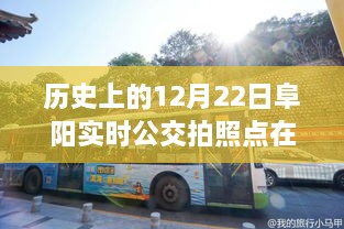 歷史上的12月22日阜陽公交之旅，探尋實時公交拍照點，尋找心靈的寧靜與自然的饋贈