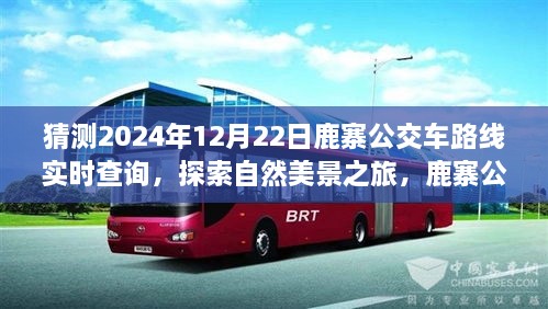 鹿寨公交路線新探秘，啟程2024年12月22日，探尋自然美景之旅實(shí)時(shí)查詢