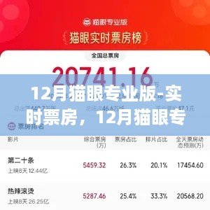 12月貓眼專業(yè)版實時票房解析，電影市場深度洞察