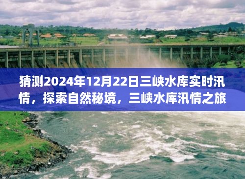 2024年12月26日 第8頁