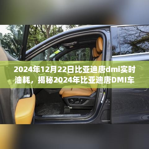 揭秘深度解析，2024年比亞迪唐DMI車型實(shí)時(shí)油耗解析