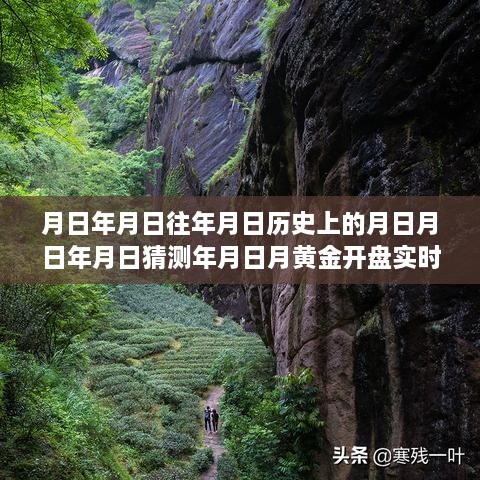 黃金行情揭秘，歷史、預(yù)測(cè)與實(shí)時(shí)動(dòng)態(tài)的交織