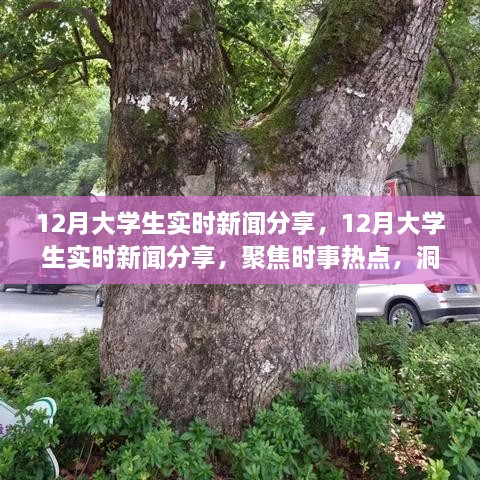 聚焦時事熱點，大學(xué)生實時新聞分享，洞察時代變遷的十二月觀察