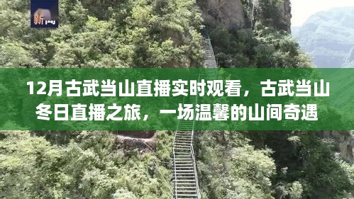 古武當山冬日直播之旅，探尋山間奇遇的溫馨之旅