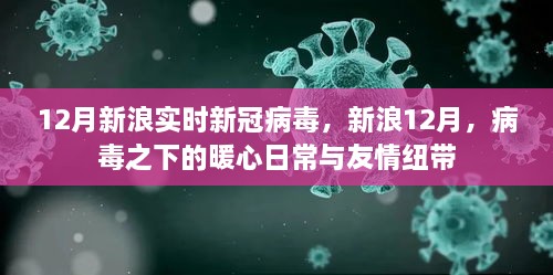 新浪12月，病毒下的暖心日常與友情紐帶，實(shí)時(shí)新冠病毒報(bào)道