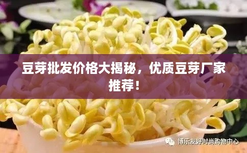 豆芽批發(fā)價格大揭秘，優(yōu)質(zhì)豆芽廠家推薦！