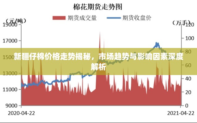 新疆仔棉價格走勢揭秘，市場趨勢與影響因素深度解析