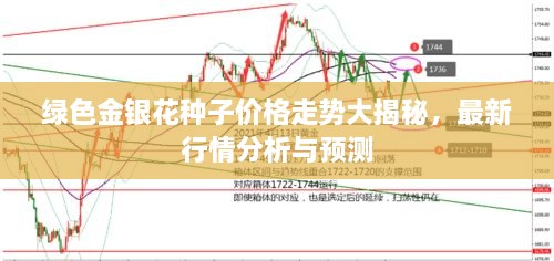 2025年1月1日 第7頁