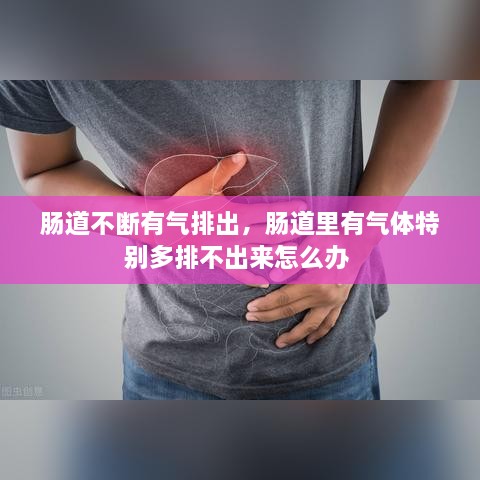 腸道不斷有氣排出，腸道里有氣體特別多排不出來怎么辦 