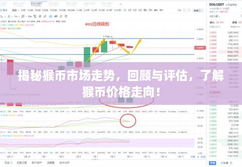 揭秘猴幣市場(chǎng)走勢(shì)，回顧與評(píng)估，了解猴幣價(jià)格走向！