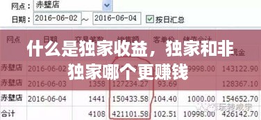 什么是獨(dú)家收益，獨(dú)家和非獨(dú)家哪個(gè)更賺錢 