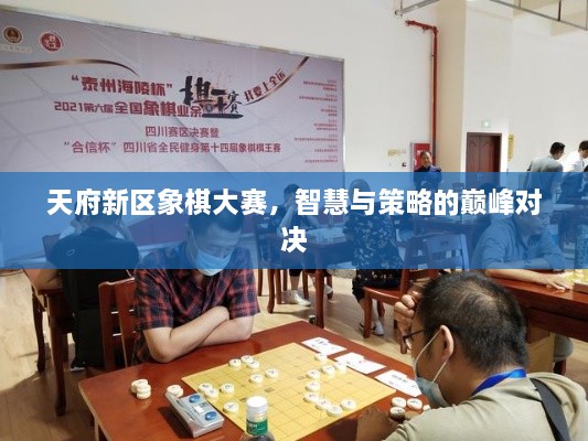 天府新區(qū)象棋大賽，智慧與策略的巔峰對決