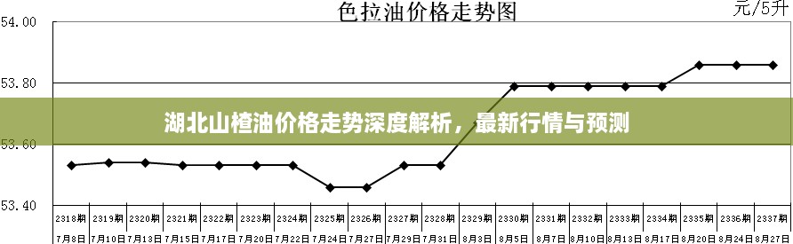 湖北山楂油價格走勢深度解析，最新行情與預測