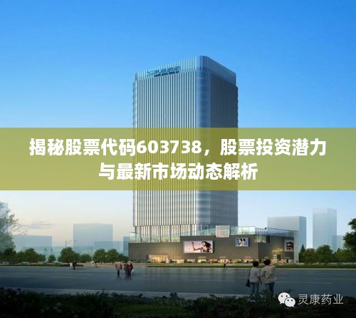 揭秘股票代碼603738，股票投資潛力與最新市場動態(tài)解析