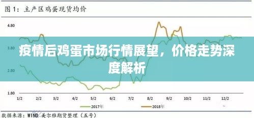 疫情后雞蛋市場(chǎng)行情展望，價(jià)格走勢(shì)深度解析