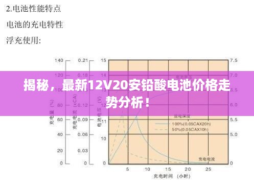 揭秘，最新12V20安鉛酸電池價(jià)格走勢分析！