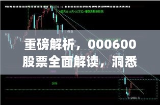 重磅解析，000600股票全面解讀，洞悉投資趨勢(shì)！