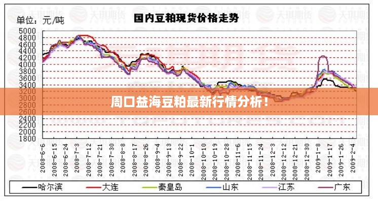 周口益海豆粕最新行情分析！