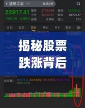 揭秘股票跌漲背后的風(fēng)險(xiǎn)與策略，如何巧妙應(yīng)對(duì)股市波動(dòng)？