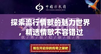 探索流行情歌的魅力世界，精選情歌不容錯(cuò)過(guò)