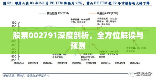 股票002791深度剖析，全方位解讀與預(yù)測